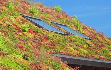 Lordsbridge living roof systems